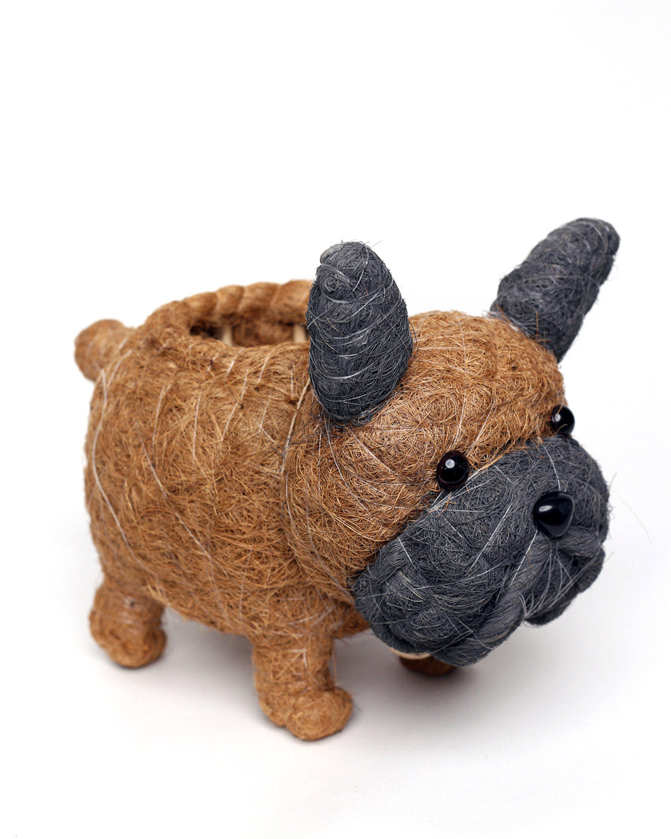 french bulldog plant pot Baby French Bulldog Handwoven Planter in Brown